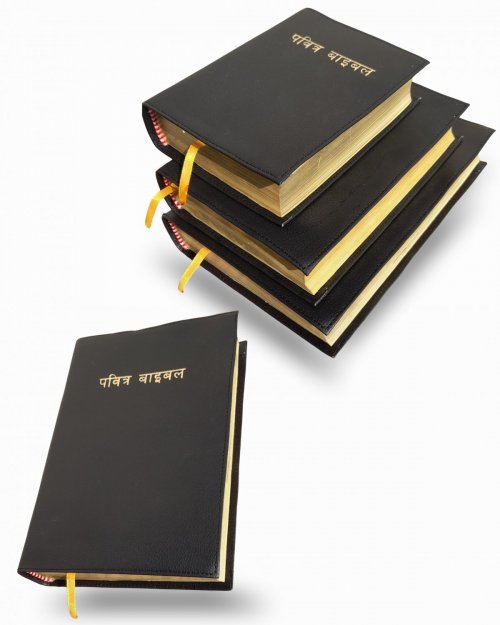 Holy Bible Nepali Golden Edge Small